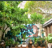 viet-asia-tour-vang vien-lily-backpackers-hostel (10)